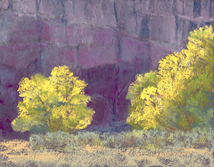 Canyon de Chelly Cottonwoods