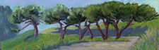Johnson's Pasture Pines - Rose Ash, pastel artist